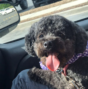 Meet your Posher, Mom